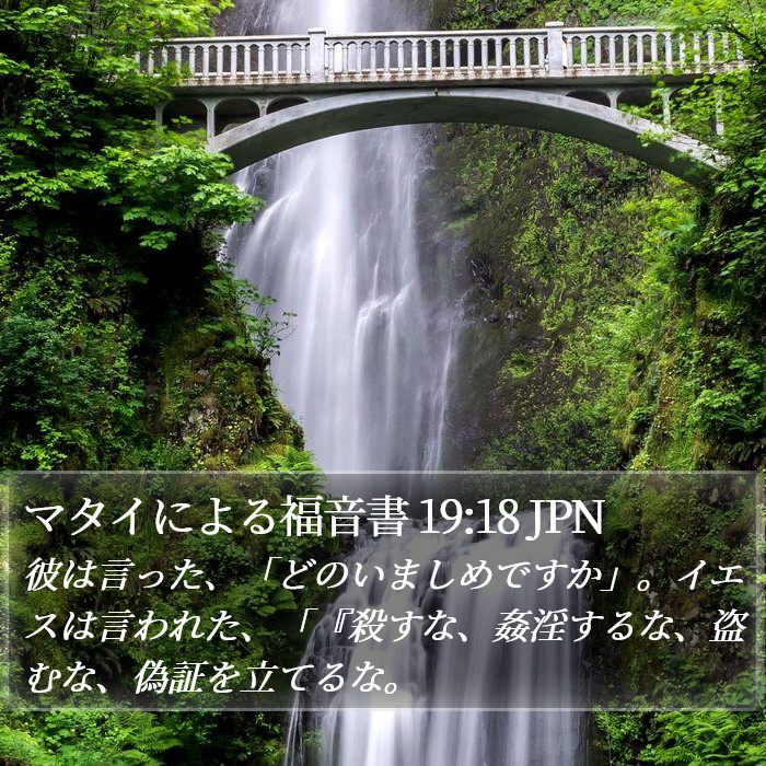 マタイによる福音書 19:18 JPN Bible Study