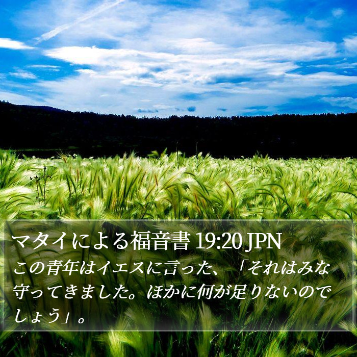 マタイによる福音書 19:20 JPN Bible Study