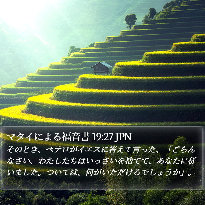 マタイによる福音書 19:27 JPN Bible Study