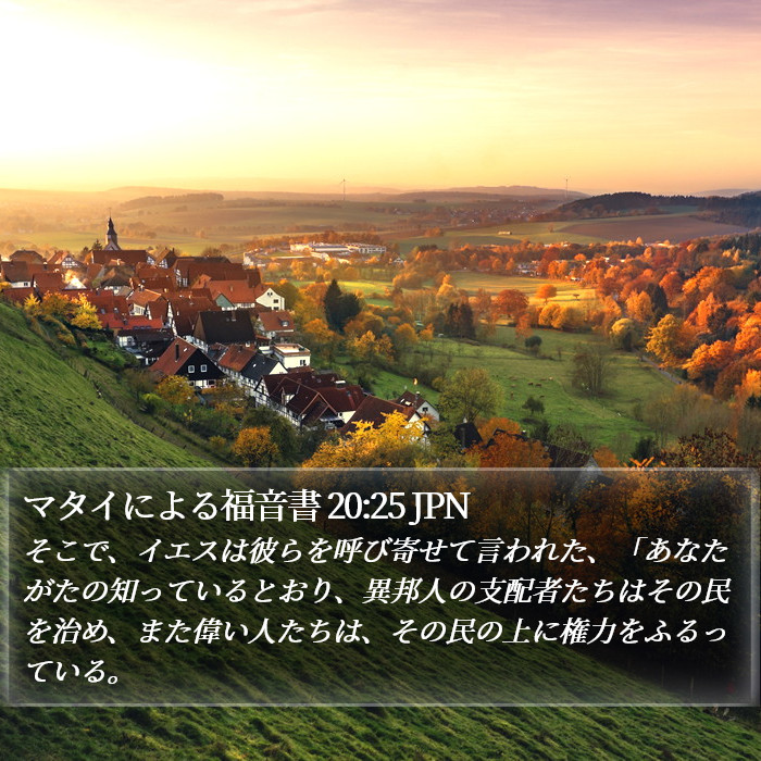 マタイによる福音書 20:25 JPN Bible Study