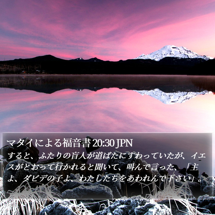 マタイによる福音書 20:30 JPN Bible Study