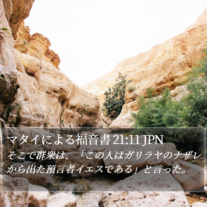 マタイによる福音書 21:11 JPN Bible Study