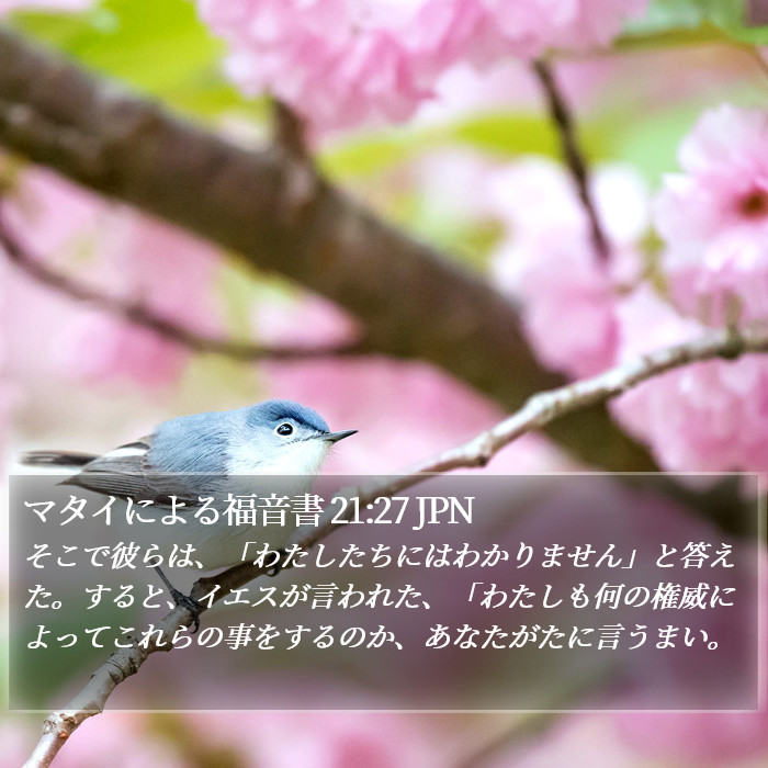 マタイによる福音書 21:27 JPN Bible Study