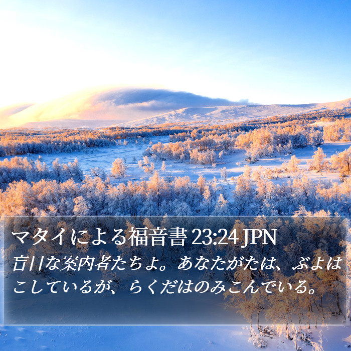 マタイによる福音書 23:24 JPN Bible Study