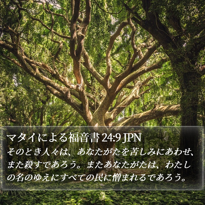 マタイによる福音書 24:9 JPN Bible Study