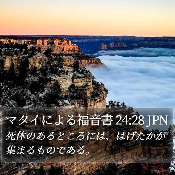 マタイによる福音書 24:28 JPN Bible Study