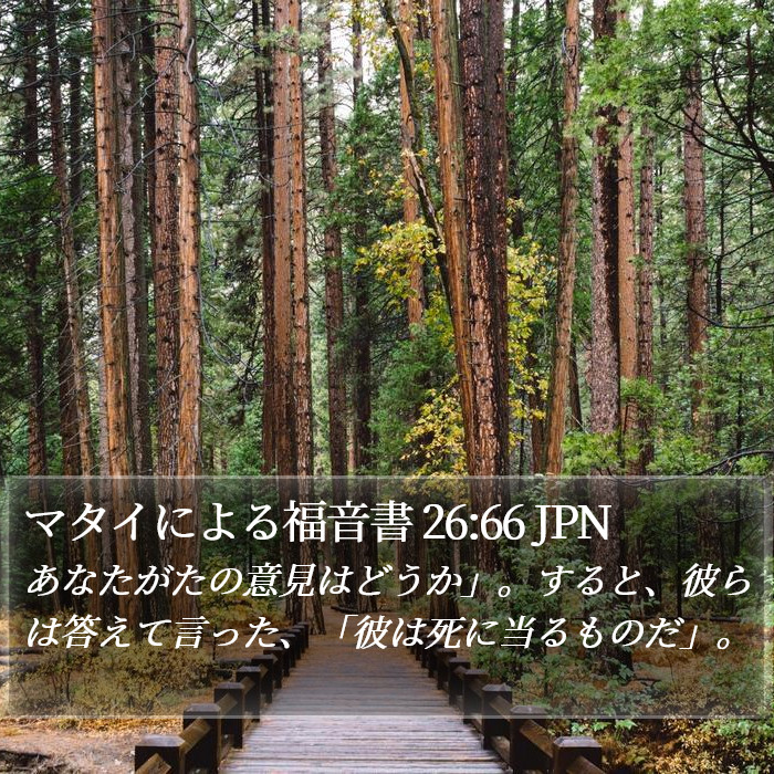 マタイによる福音書 26:66 JPN Bible Study