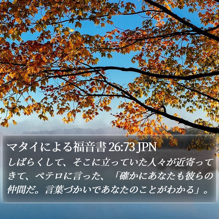 マタイによる福音書 26:73 JPN Bible Study