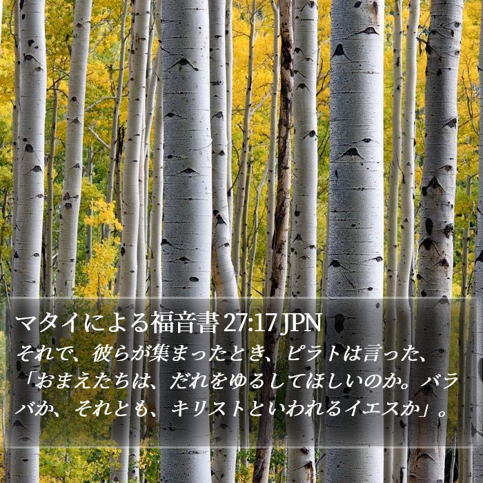 マタイによる福音書 27:17 JPN Bible Study