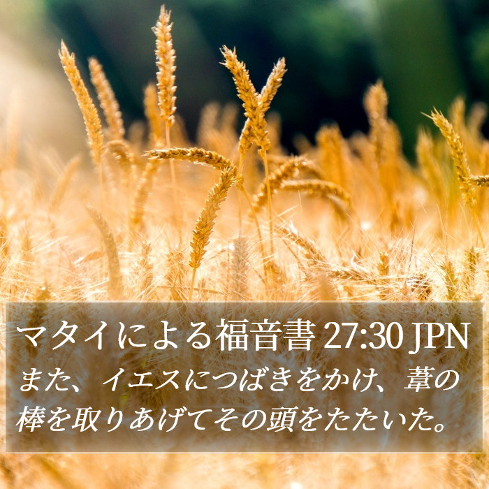 マタイによる福音書 27:30 JPN Bible Study
