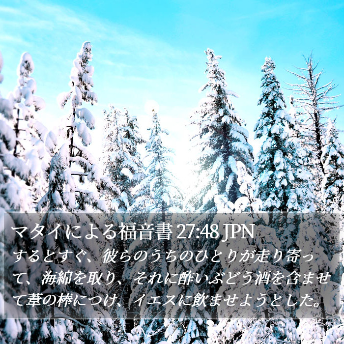 マタイによる福音書 27:48 JPN Bible Study