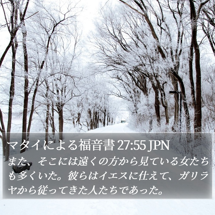 マタイによる福音書 27:55 JPN Bible Study