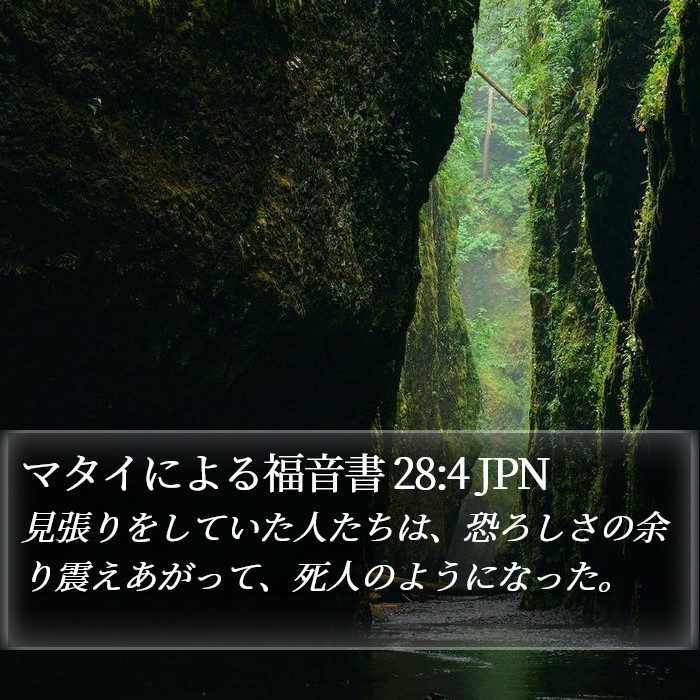 マタイによる福音書 28:4 JPN Bible Study