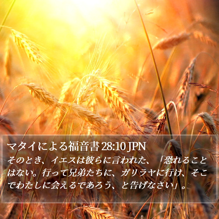 マタイによる福音書 28:10 JPN Bible Study