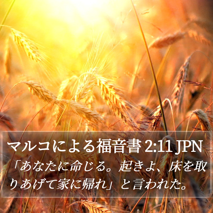 マルコによる福音書 2:11 JPN Bible Study