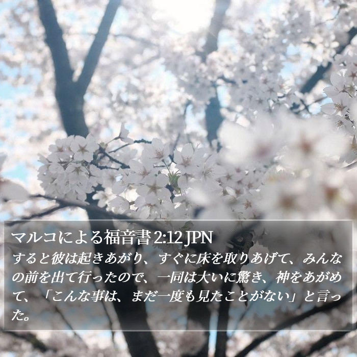 マルコによる福音書 2:12 JPN Bible Study