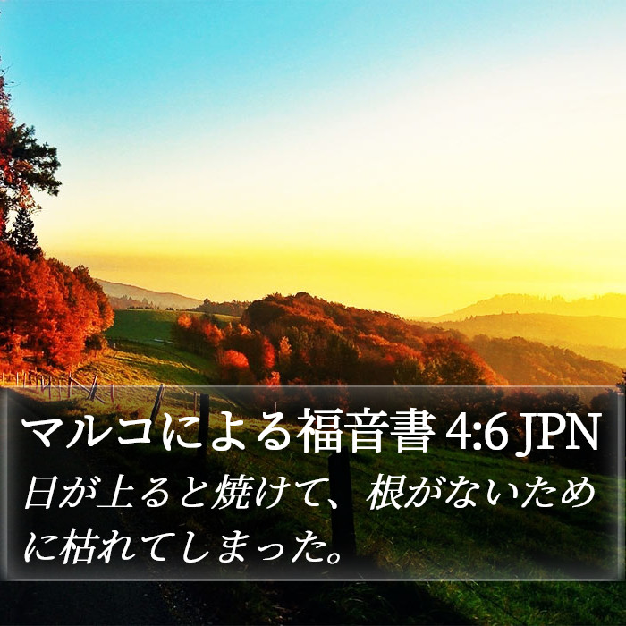 マルコによる福音書 4:6 JPN Bible Study