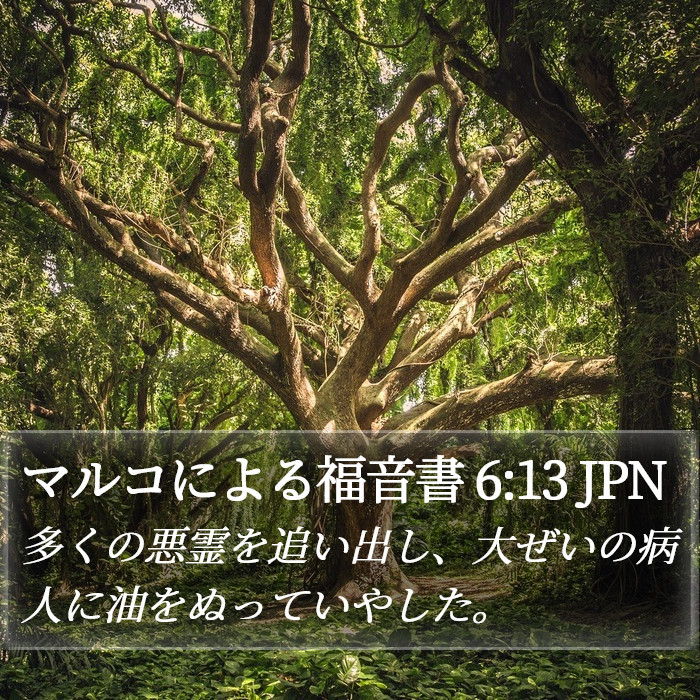 マルコによる福音書 6:13 JPN Bible Study