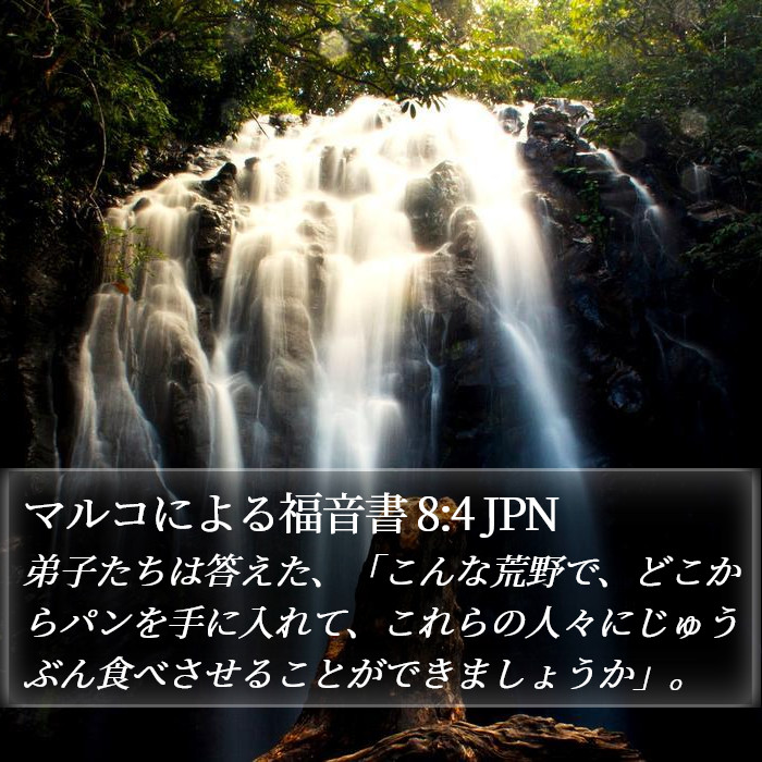 マルコによる福音書 8:4 JPN Bible Study