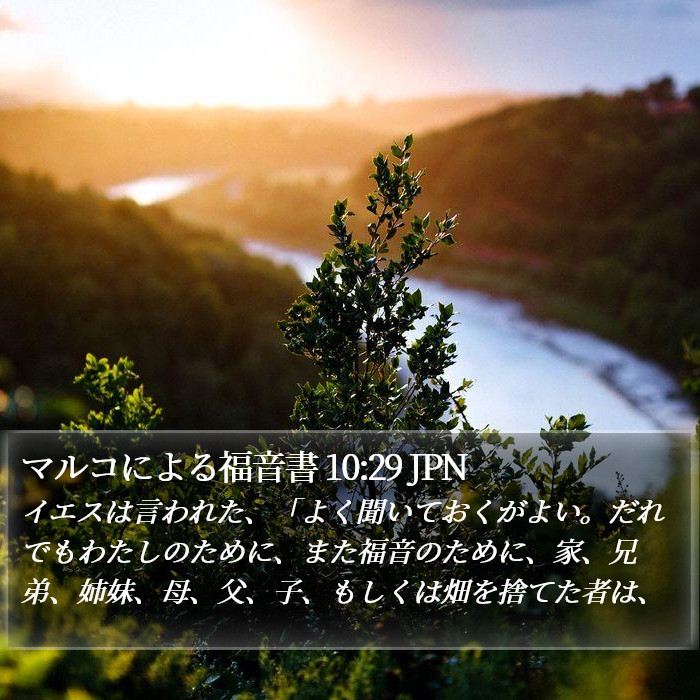 マルコによる福音書 10:29 JPN Bible Study