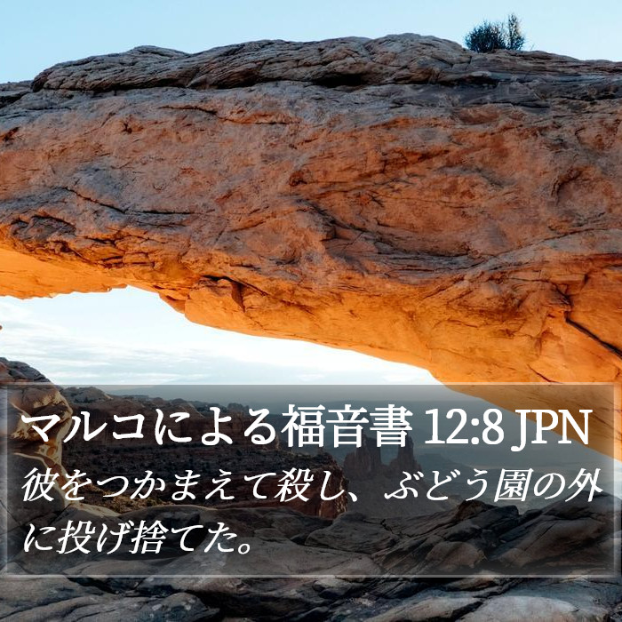 マルコによる福音書 12:8 JPN Bible Study