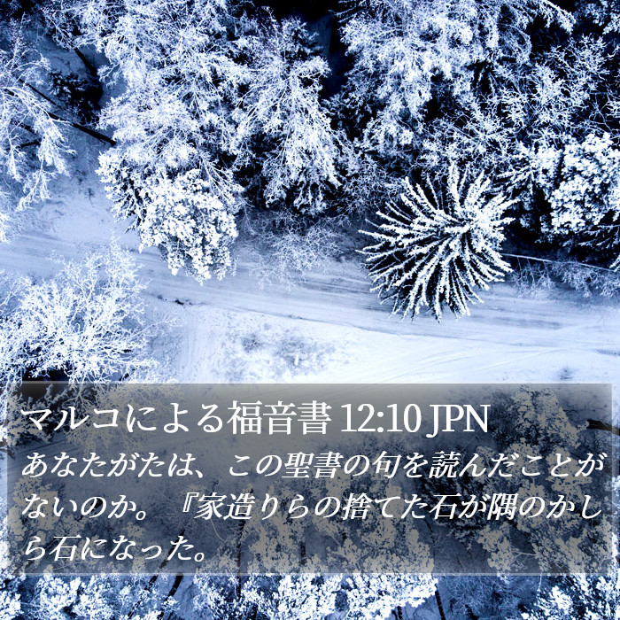 マルコによる福音書 12:10 JPN Bible Study