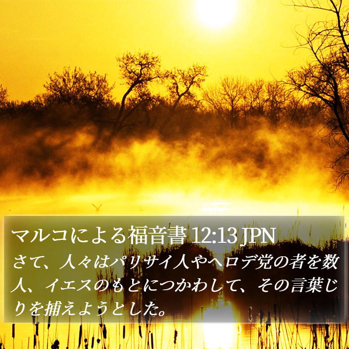 マルコによる福音書 12:13 JPN Bible Study