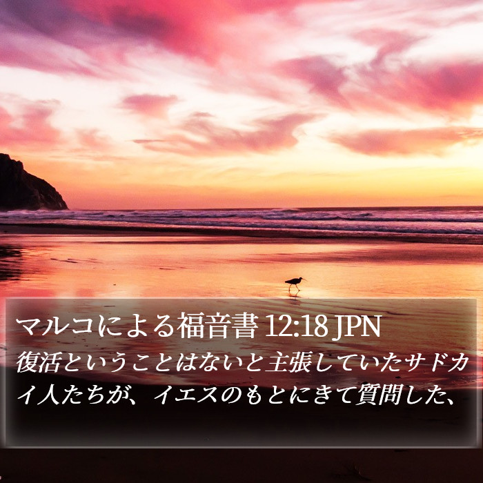 マルコによる福音書 12:18 JPN Bible Study