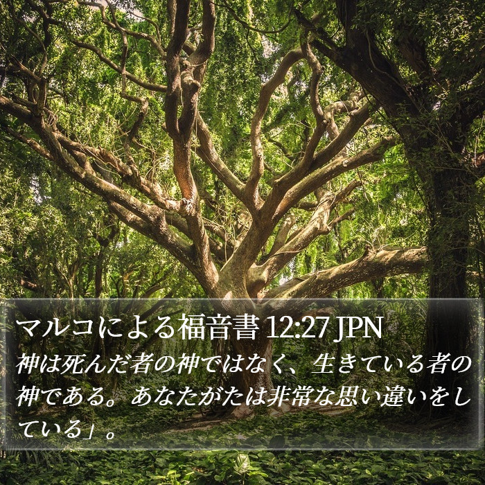 マルコによる福音書 12:27 JPN Bible Study