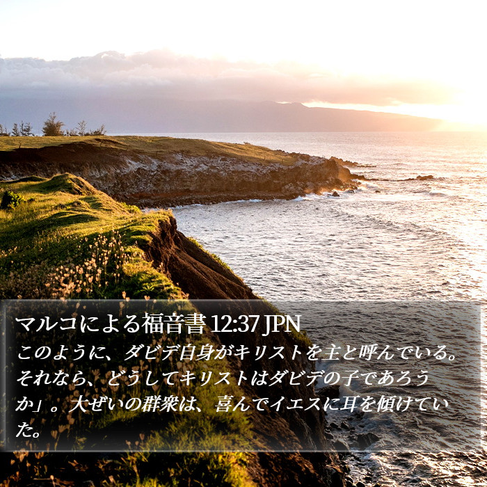 マルコによる福音書 12:37 JPN Bible Study