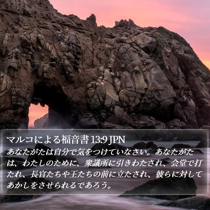 マルコによる福音書 13:9 JPN Bible Study