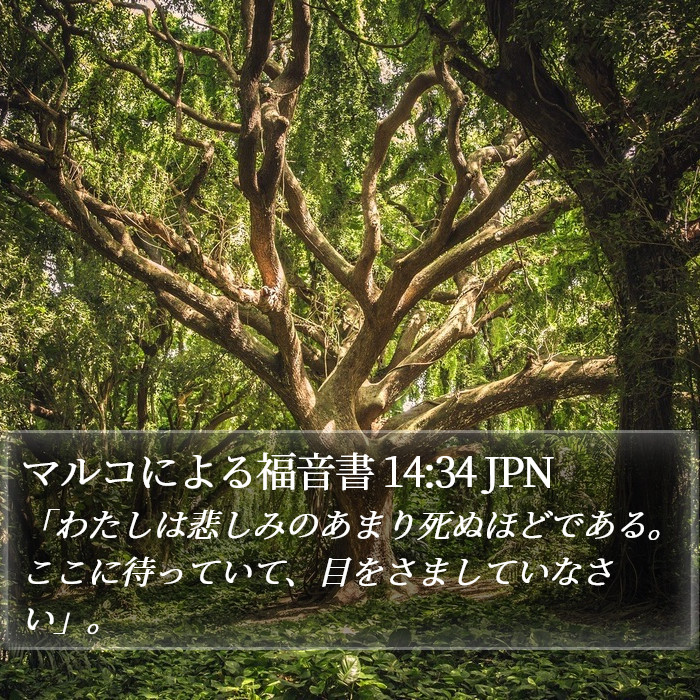 マルコによる福音書 14:34 JPN Bible Study