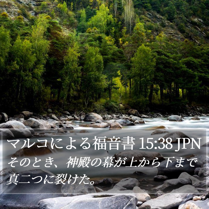 マルコによる福音書 15:38 JPN Bible Study