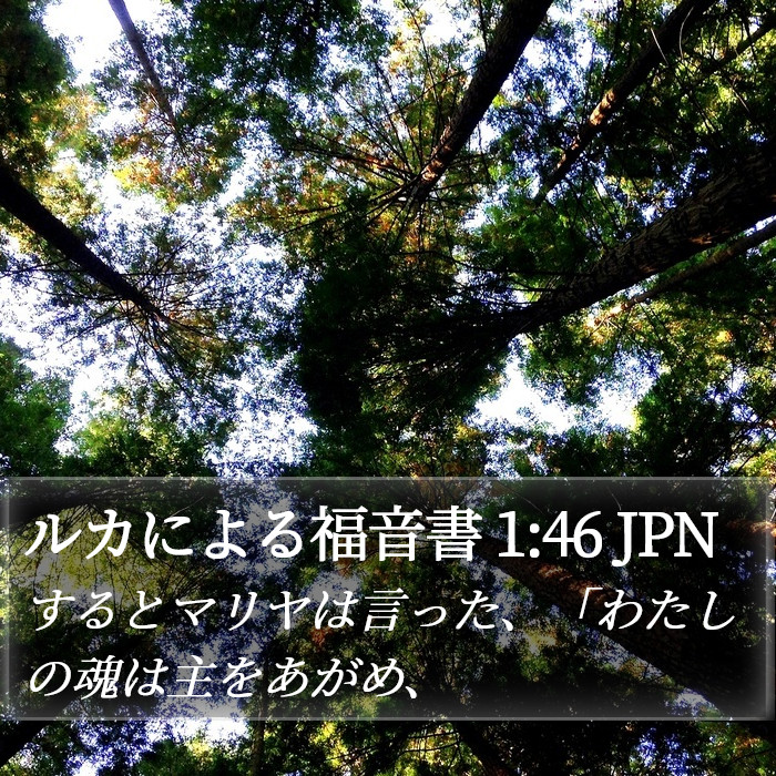 ルカによる福音書 1:46 JPN Bible Study