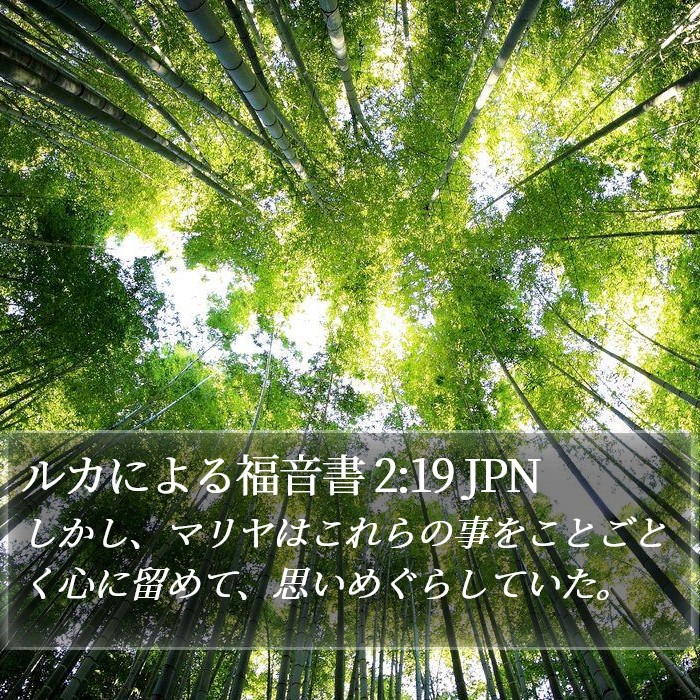 ルカによる福音書 2:19 JPN Bible Study