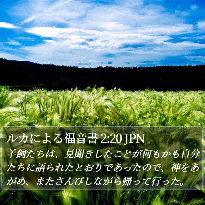 ルカによる福音書 2:20 JPN Bible Study