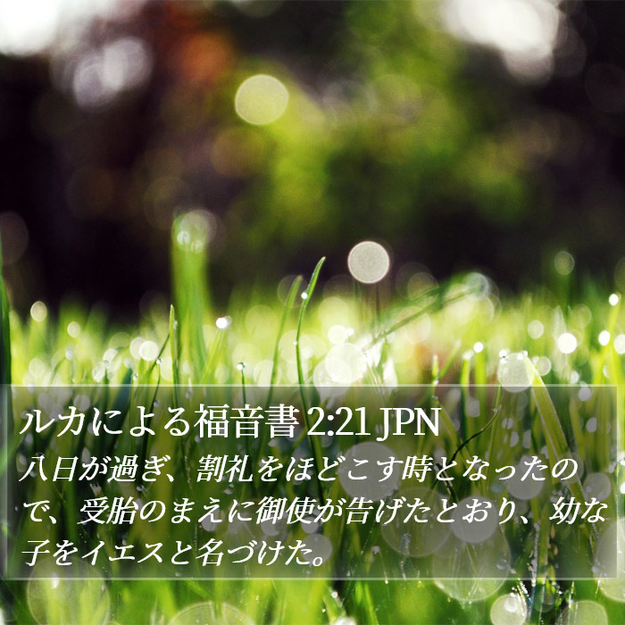 ルカによる福音書 2:21 JPN Bible Study