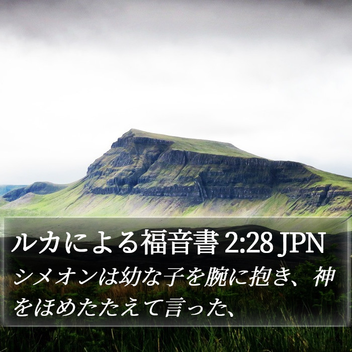 ルカによる福音書 2:28 JPN Bible Study