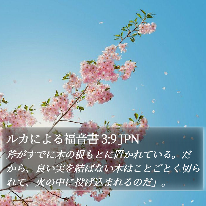 ルカによる福音書 3:9 JPN Bible Study