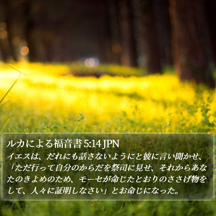 ルカによる福音書 5:14 JPN Bible Study