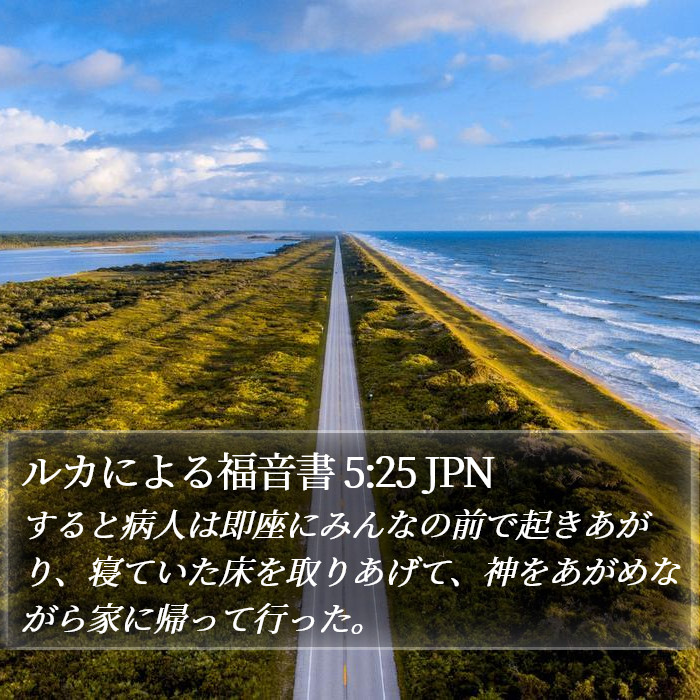 ルカによる福音書 5:25 JPN Bible Study