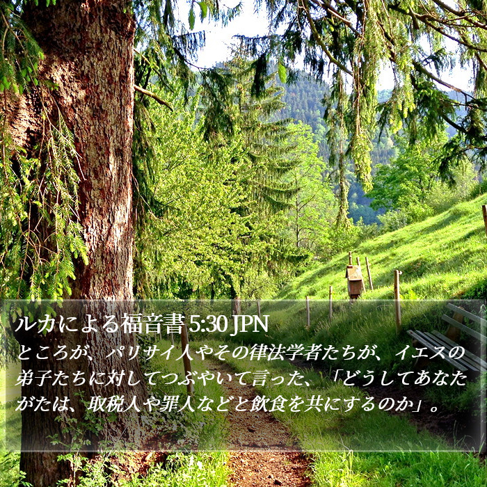 ルカによる福音書 5:30 JPN Bible Study
