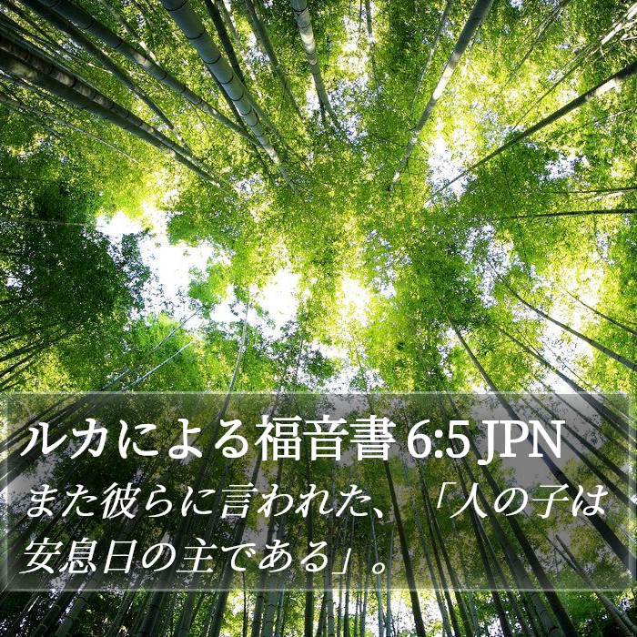 ルカによる福音書 6:5 JPN Bible Study