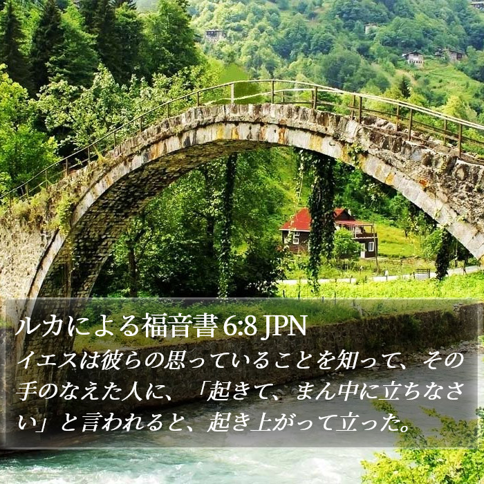 ルカによる福音書 6:8 JPN Bible Study