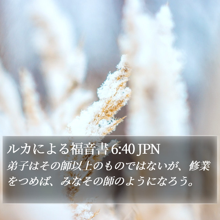 ルカによる福音書 6:40 JPN Bible Study