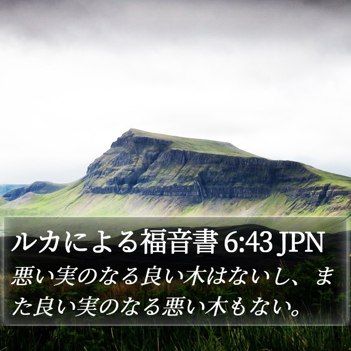 ルカによる福音書 6:43 JPN Bible Study