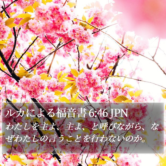 ルカによる福音書 6:46 JPN Bible Study