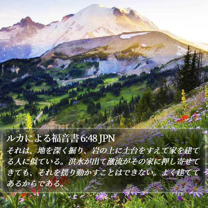 ルカによる福音書 6:48 JPN Bible Study