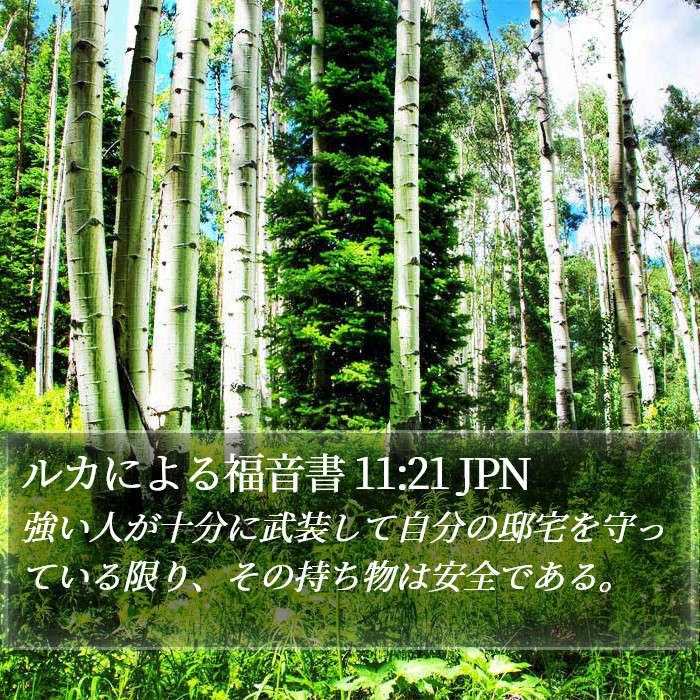 ルカによる福音書 11:21 JPN Bible Study