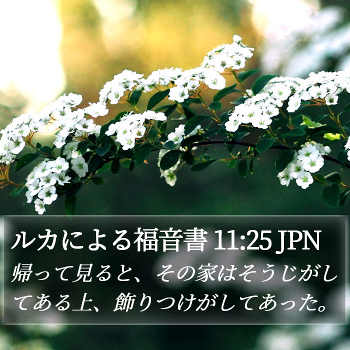 ルカによる福音書 11:25 JPN Bible Study